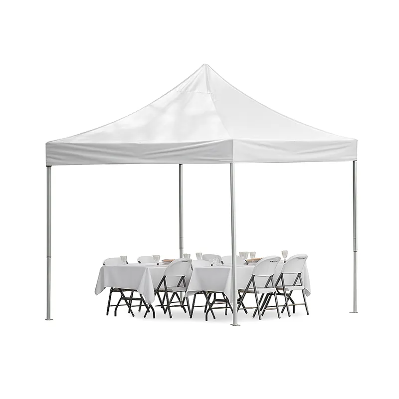 Parti Çadırı Model 5